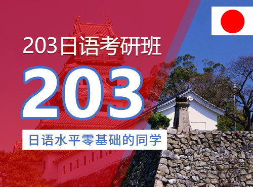 ​203日语考研定制一对一