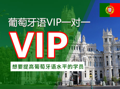 葡萄牙语VIP一对一